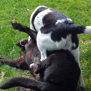 Meet your Posher, Cathy cardinal